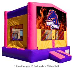 Boise State University BSU Theme PBH Pink Module